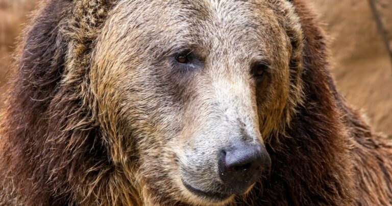 頑張り続けられる人ほど、助けを求められない──「適応の優等生」が静かに壊れていくメカニズム