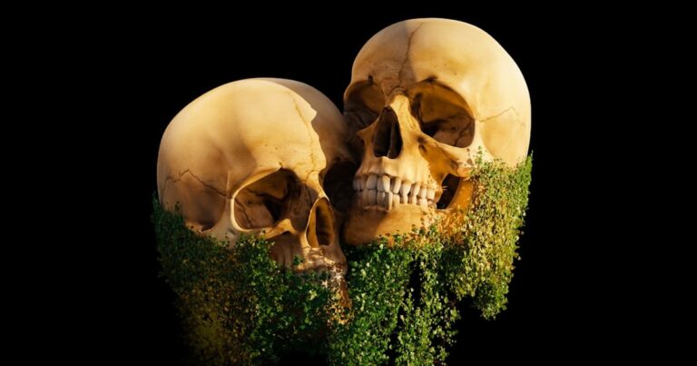 優しさという名の防腐剤──機能不全を生かし続ける「善意の生態系」について